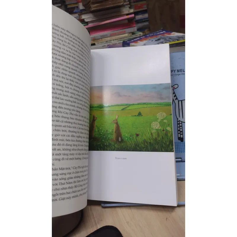 Sách: Đồi Thỏ - TG: Richard Adams (B3) 1027099