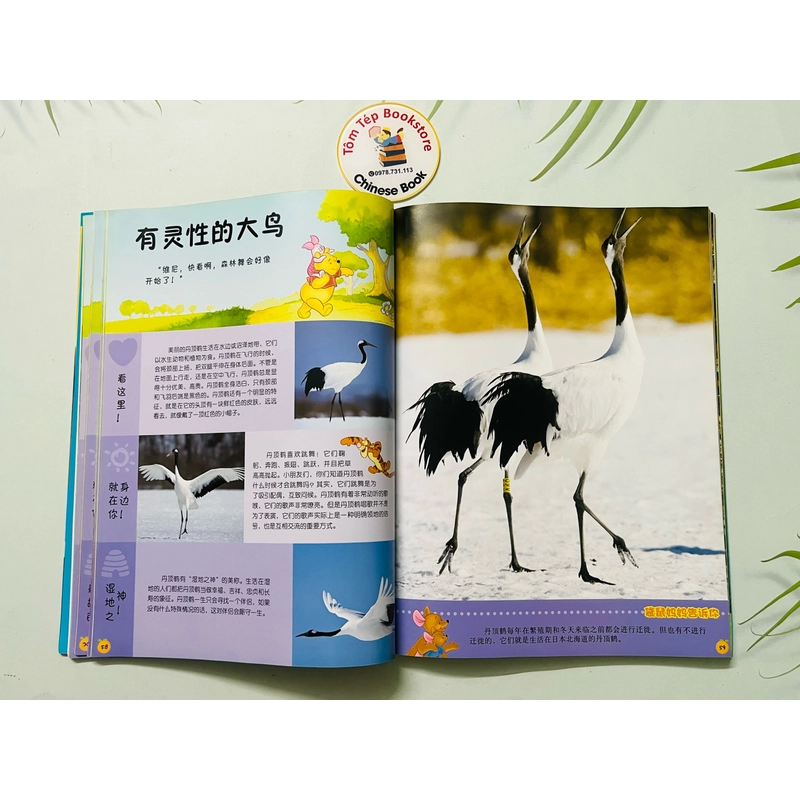 Winnie the Pooh Bách khoa thư đầu tiên cho bé- Tiếng Trung 478979