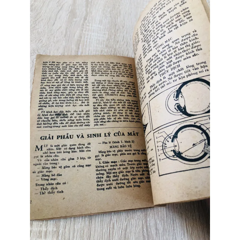 ĐÔI MẮT CỬA SỔ TÂM HỒN  960120