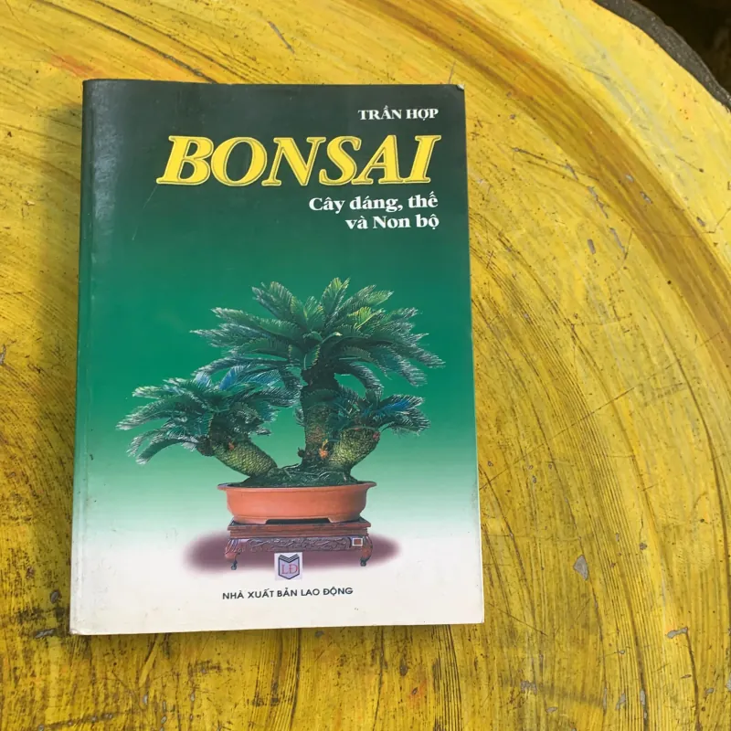 COMBO BONSAI Cây dáng, thế và Non bộ  775779