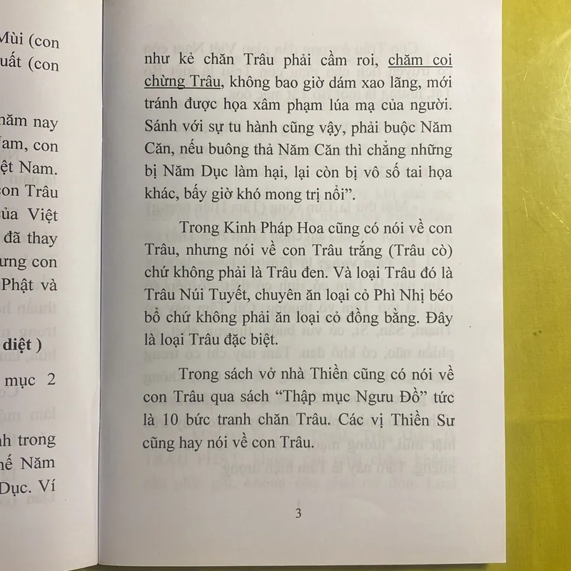 Con Trâu và Cái Tâm (Bí Lục Theo Trâu) - HT Đắc Huyền - Thích Như Phước Tú 630515