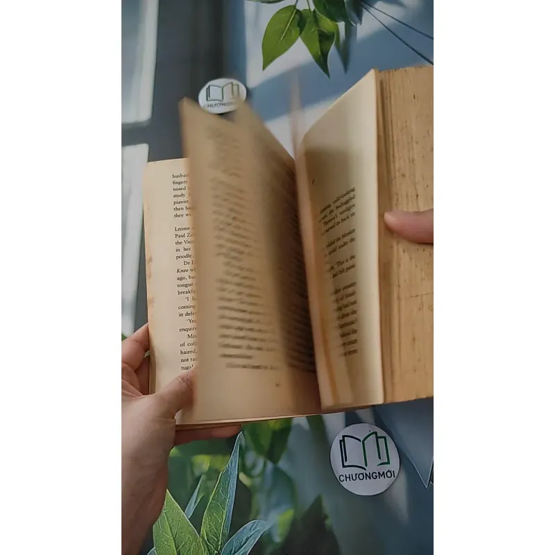 [MIỄN PHÍ BỌC SÁCH] The Morning Gift - Eva Ibbotson 1033594