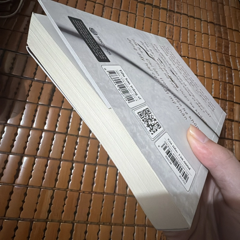 Tiêu sơn tráng sĩ - Khái Hưng 443851