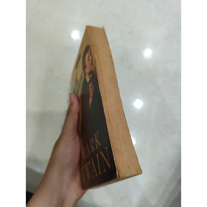 The Adventures of Tom Sawyer 🌱 596125