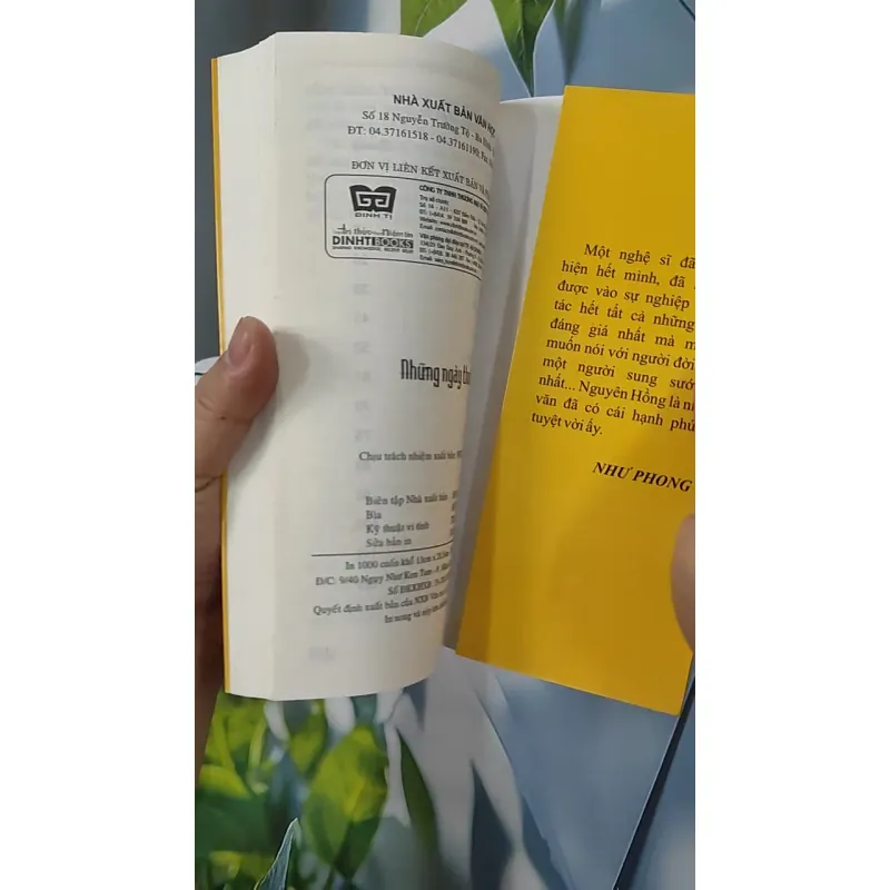 Những Ngày Thơ Ấu - Nguyên Hồng 798351