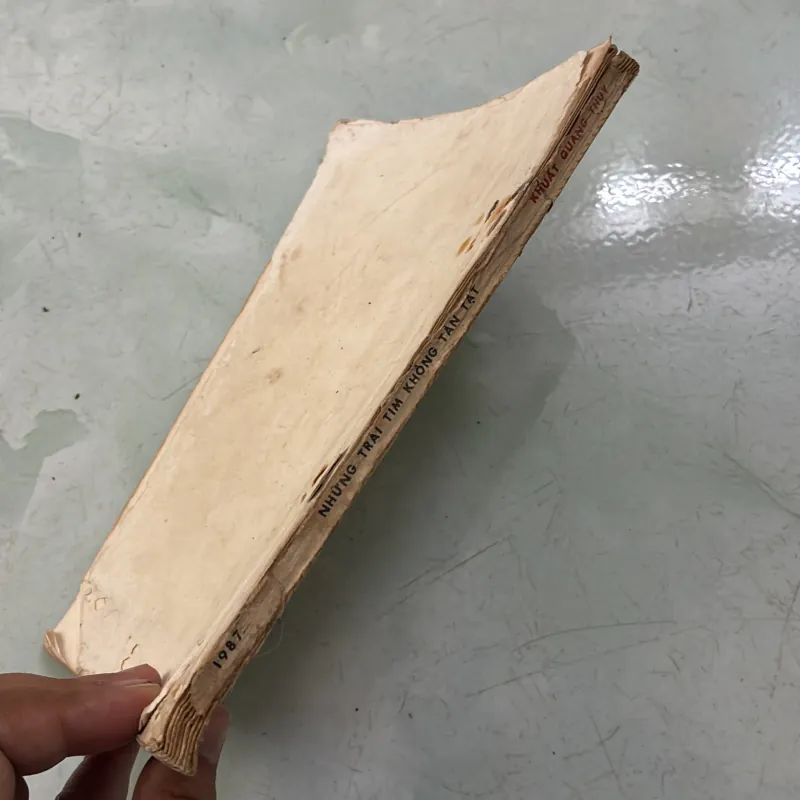 Những trái tim không tàn tật - Khuất Quang Thuỵ 996988