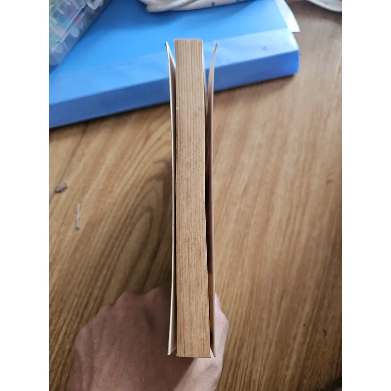 Diary of a Wimpy Kid the ugly truth 20k 654890