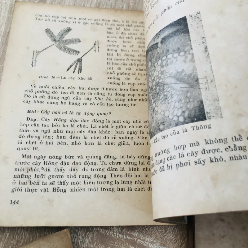 HỎI ĐÁP VỀ THỰC VẬT – trọn bộ 5 tập 🌿 956957