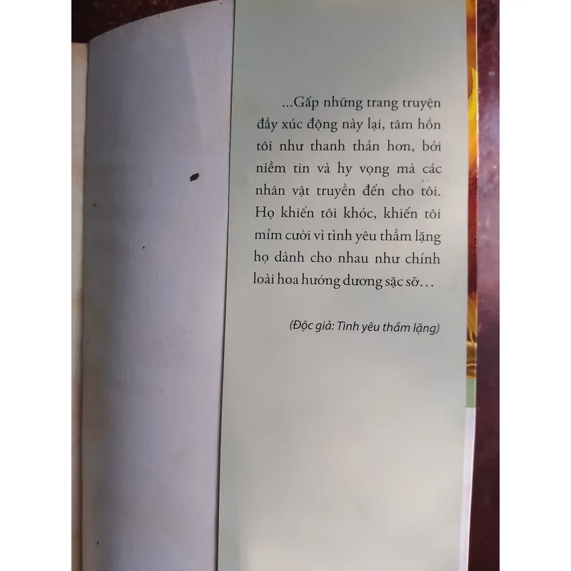 Hoa nở giữa tháng năm cô đơn 720310