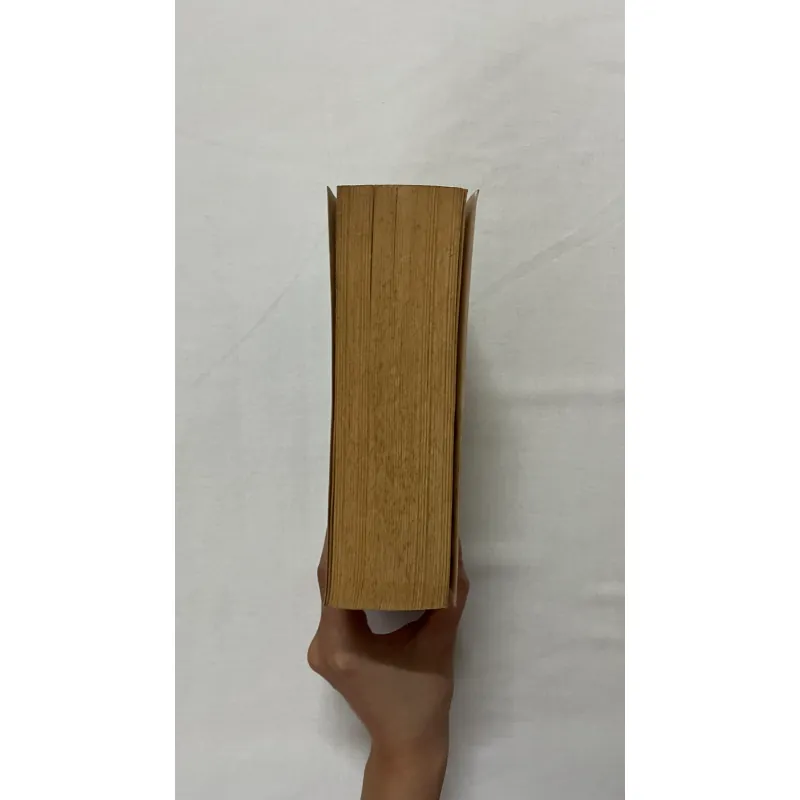 Bleak House - Charles Dickens 935183