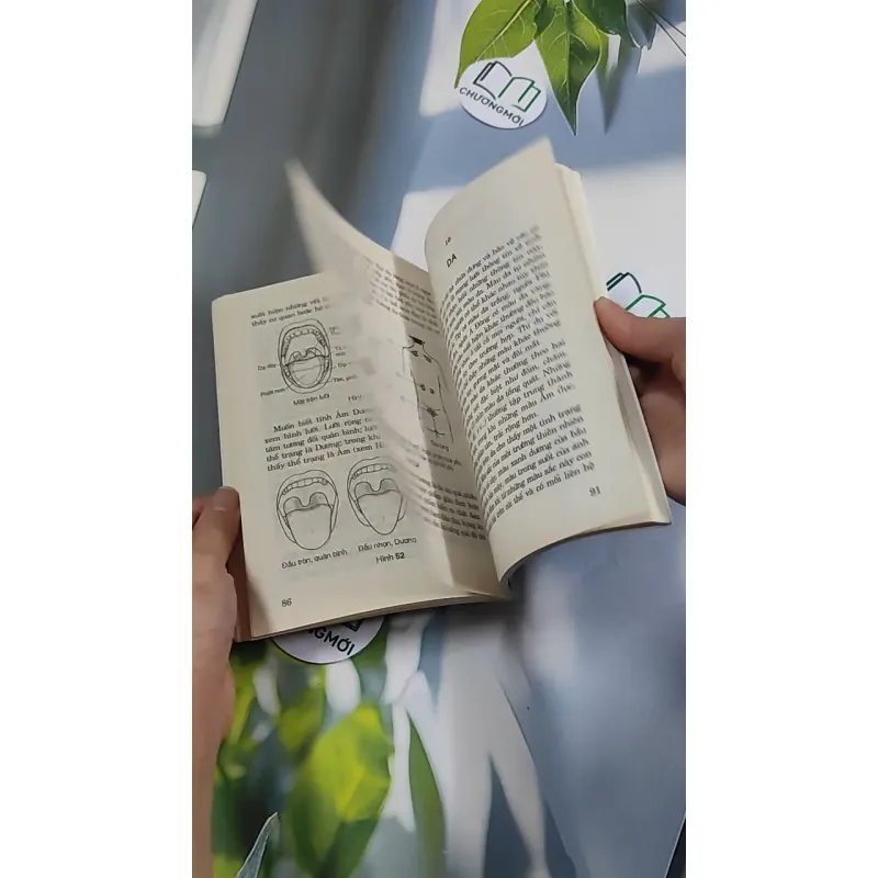 Xem Tướng Biết Sức Khỏe - Ngô Ánh Tuyết 776162