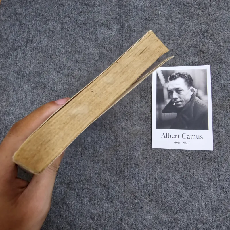 Gặp lại người xưa - Junichi watanabe 1004971