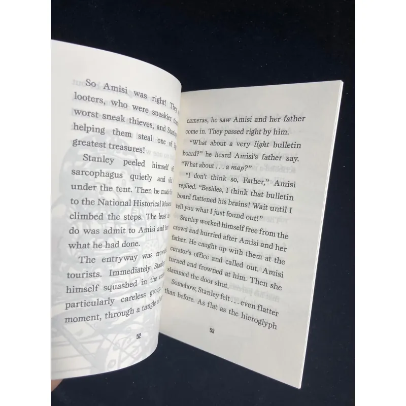 The Flat Stanley Collection - No box - 19 quyển 747129