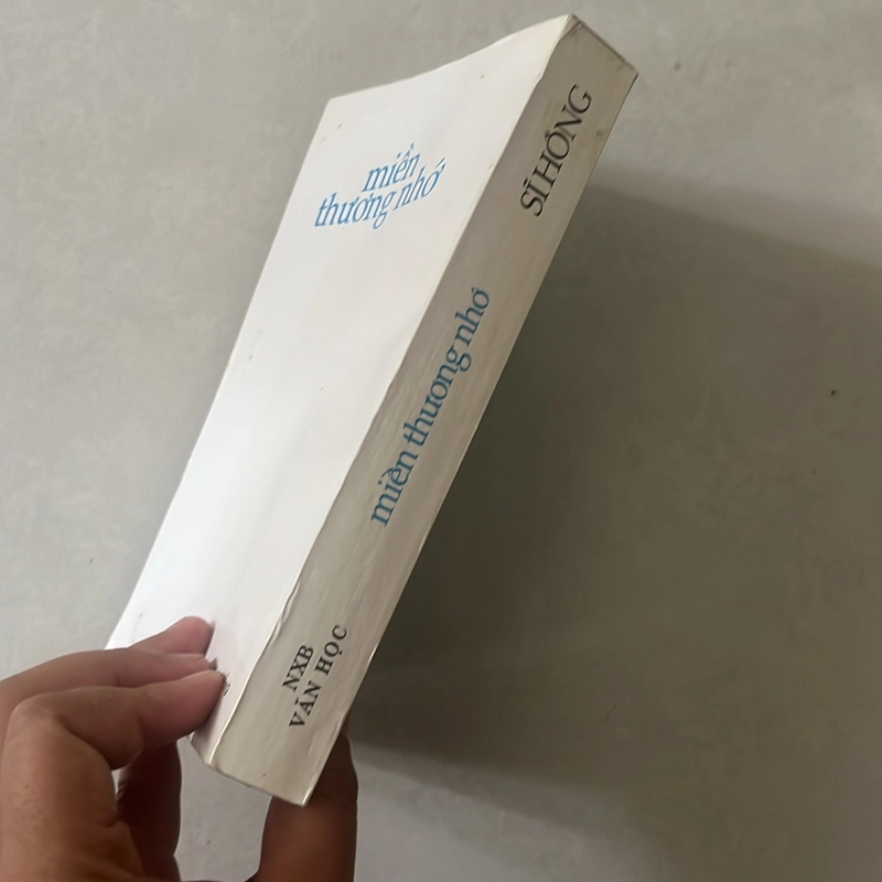 Miền thương nhớ - Sỹ Hồng - 1997s 527524