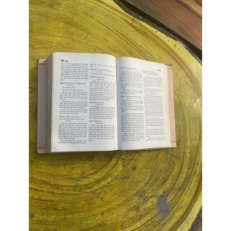 TỪ ĐIỂN THÀNH NGỮ TỤC NGỮ CA DAO VIỆT NAM QUYỂN THƯỢNG- THÀNH CHƯƠNG 798752