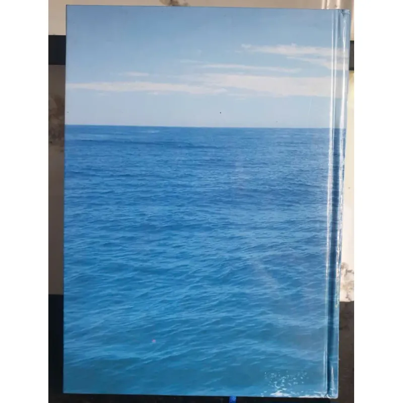 Sách Nguồn Sáng Vô Tận - Thích Thái Hòa 688747