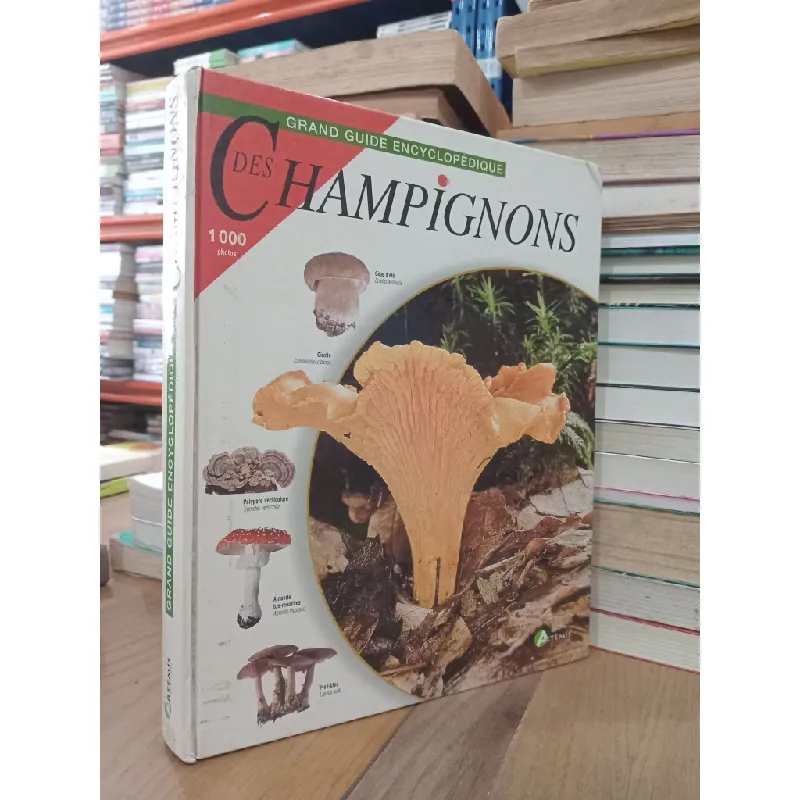 Grand guide encyclopédique des Champignons 712093