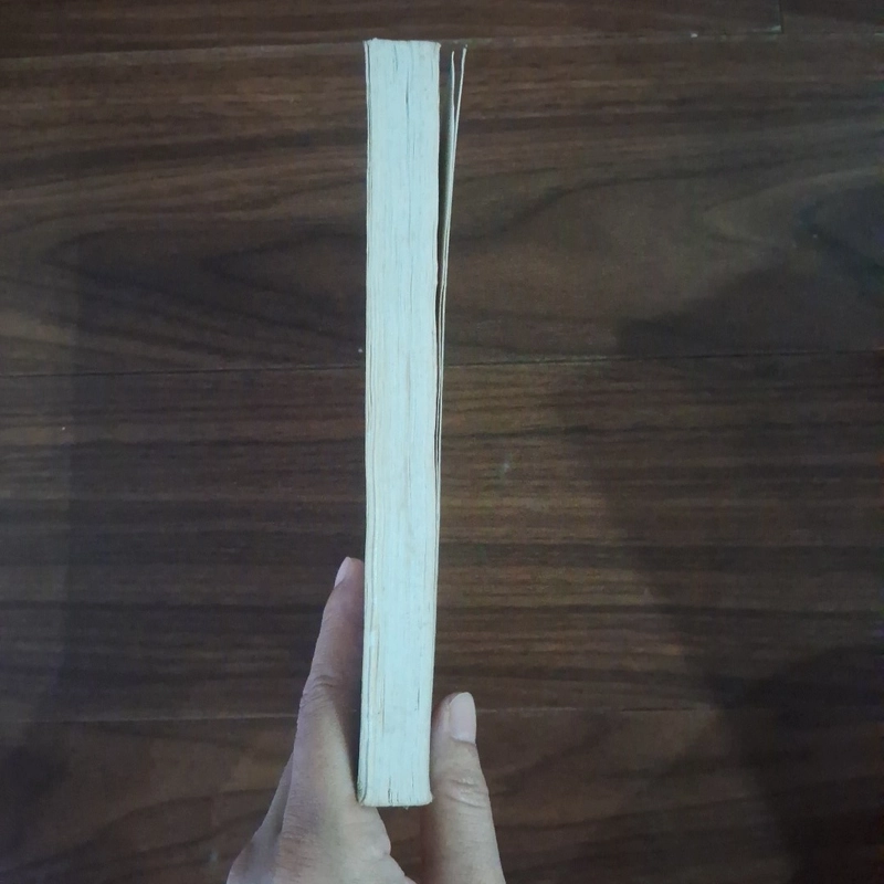Buổi sáng bóng tối cô đơn 508019