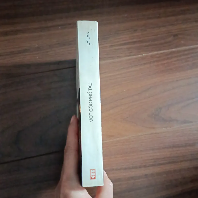 Moitj góc phố tàu - lý lan 933988