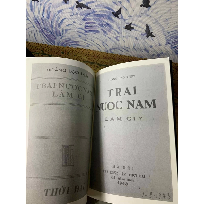 Trai nước Nam làm gì? - Hoàng Đạo Thúy 538857