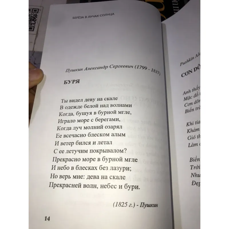 Nắng bạch dương  997407