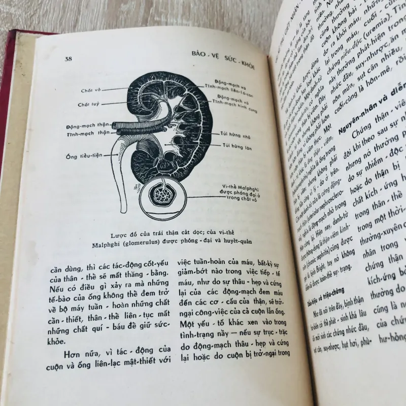 BẢO VỆ SỨC KHỎE  974779