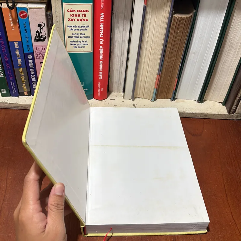 II Sách Hay: Quảng Nam _ Những Vấn Đề Lịch Sử - Nguyễn Duy Sinh - 2013 728548