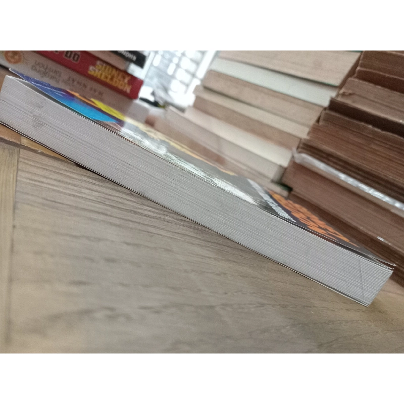 Người lạ trong gương - Sidney Sheldon 335539