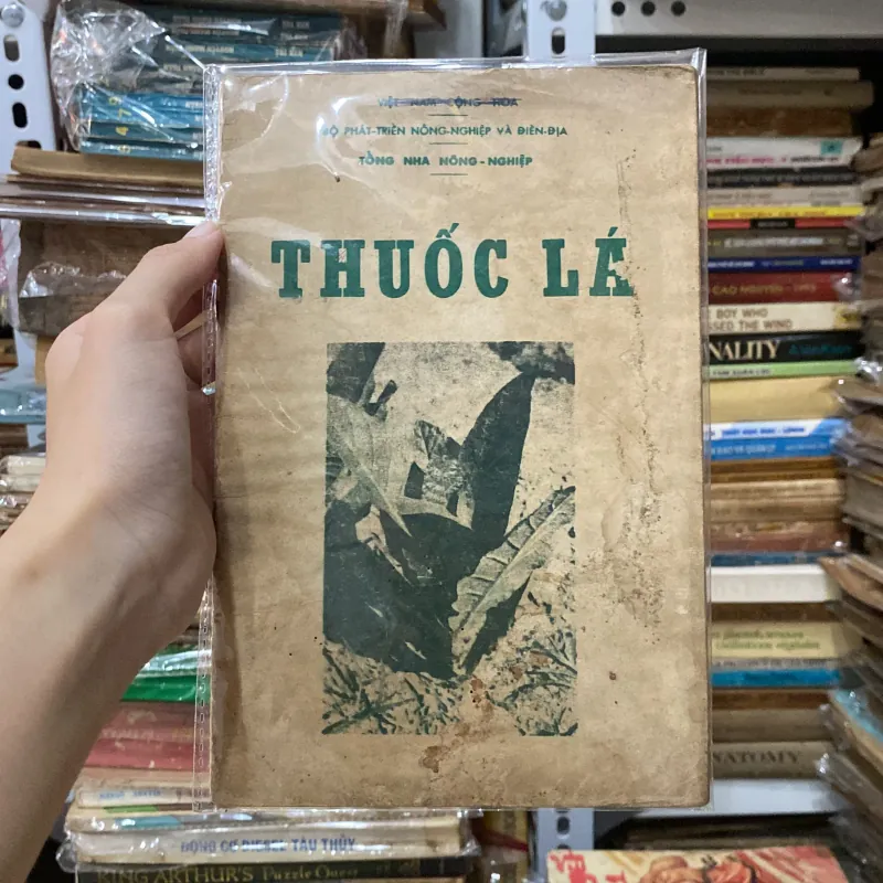 Thuốc Lá♟️ 934942