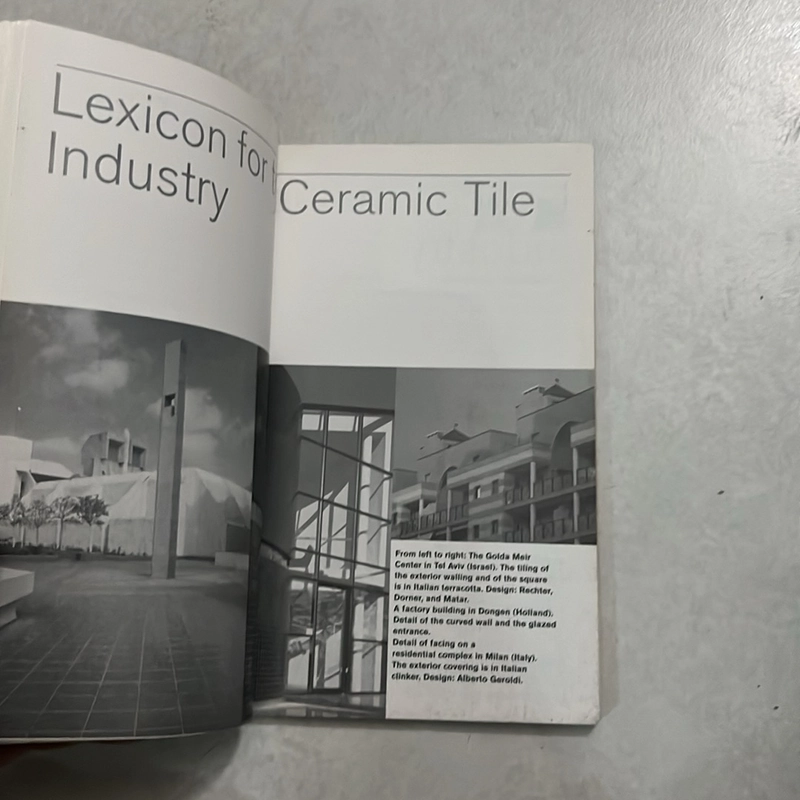 The Italian Ceramic tile Dictionary 503652