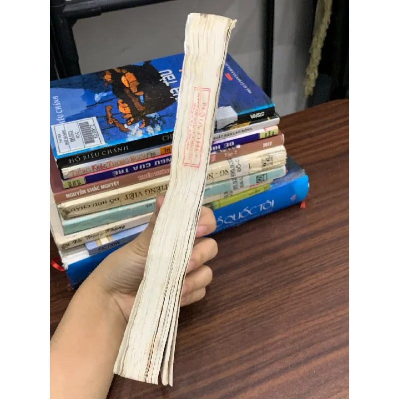 Lịch sử sử học Việt Nam – Nhiều tác giả 591558