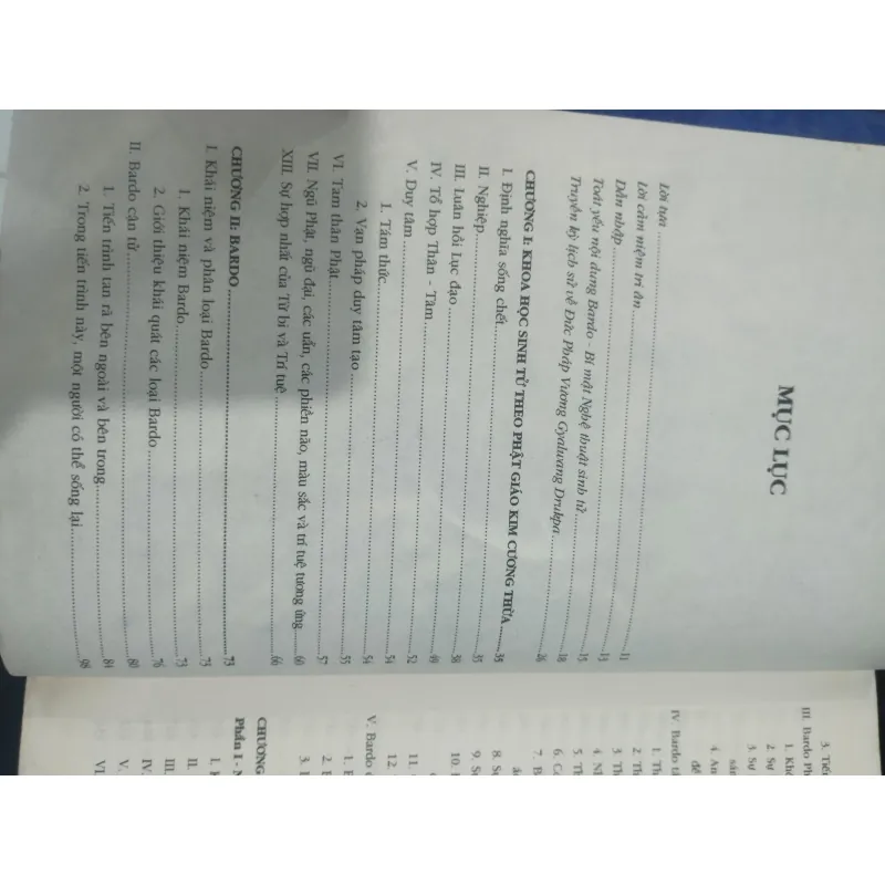 Bardo Bí Mật Nghệ Thuật Sinh Tử 1002044