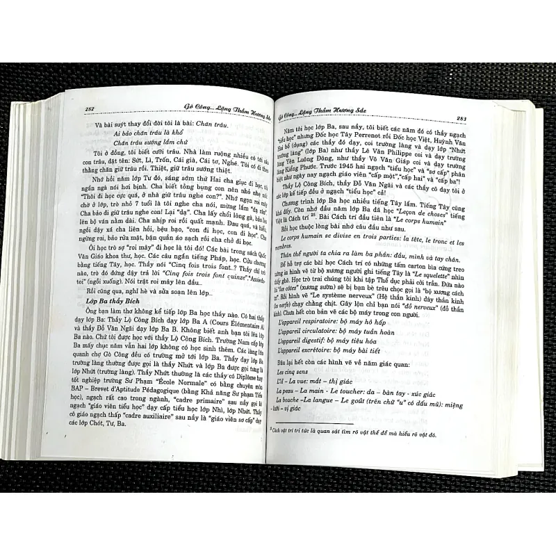 GÒ CÔNG ... Lặng thầm hương sắc 996950