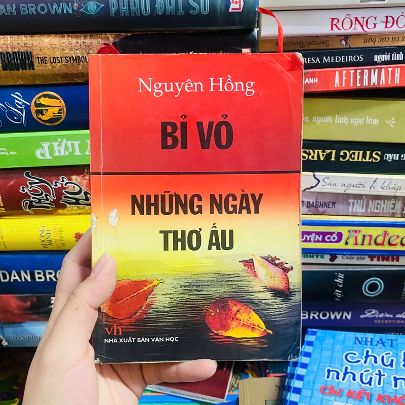 BỈ VỎ, NHỮNG NGÀY THƠ ẤU -NGUYÊN HỒNG 401121