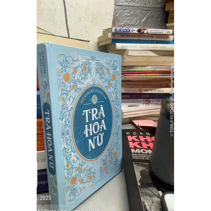 Trà Hoa nữ 524793