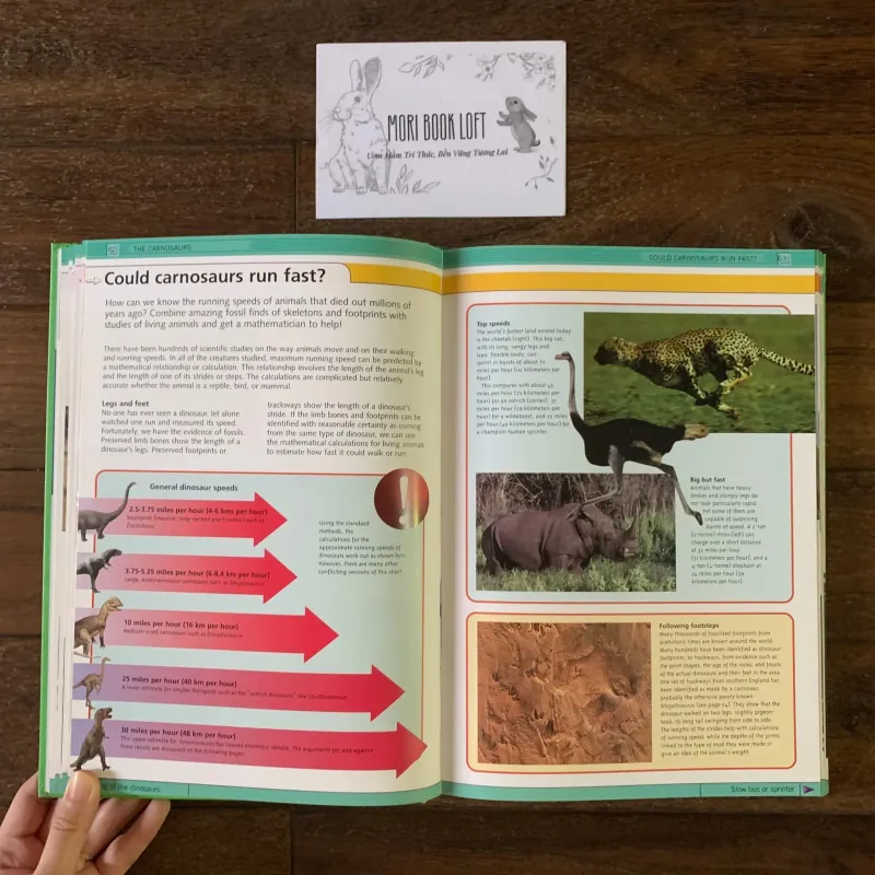 Sách ngoại văn The Encyclopedia of the Age of the Dinosaurs, Used, Bìa cứng  756491