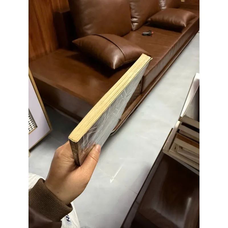 Sách “Tấm Ván Phóng Dao” (Mạc Can) 975552