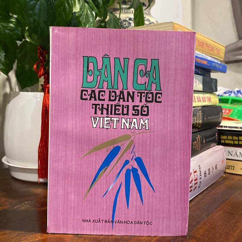 DÂN CA CÁC DÂN TỘC THIỂU SỐ VIỆT NAM (XB 1997) 470912
