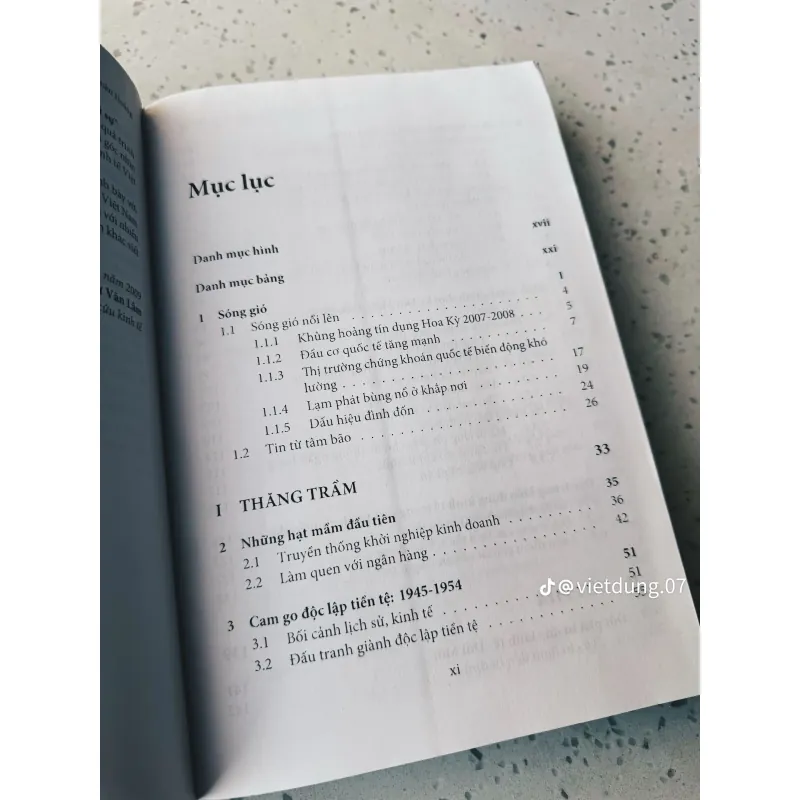 Kinh Tế Việt Nam Thăng Trầm Và Đột Phá 776283