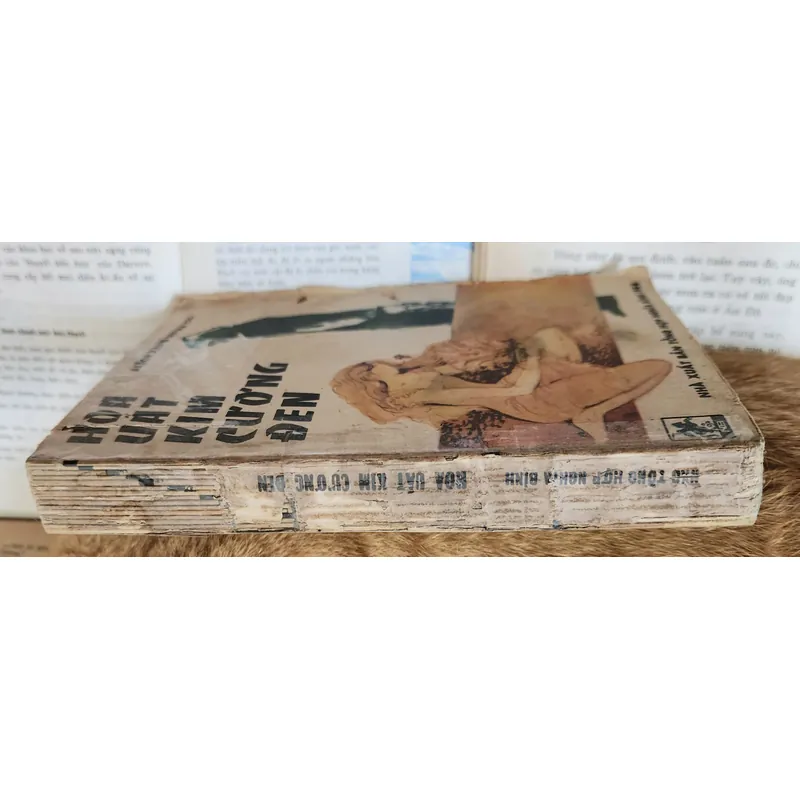 Alexandre Dumas cha - HOA UẤT KIM CƯƠNG ĐEN 703486