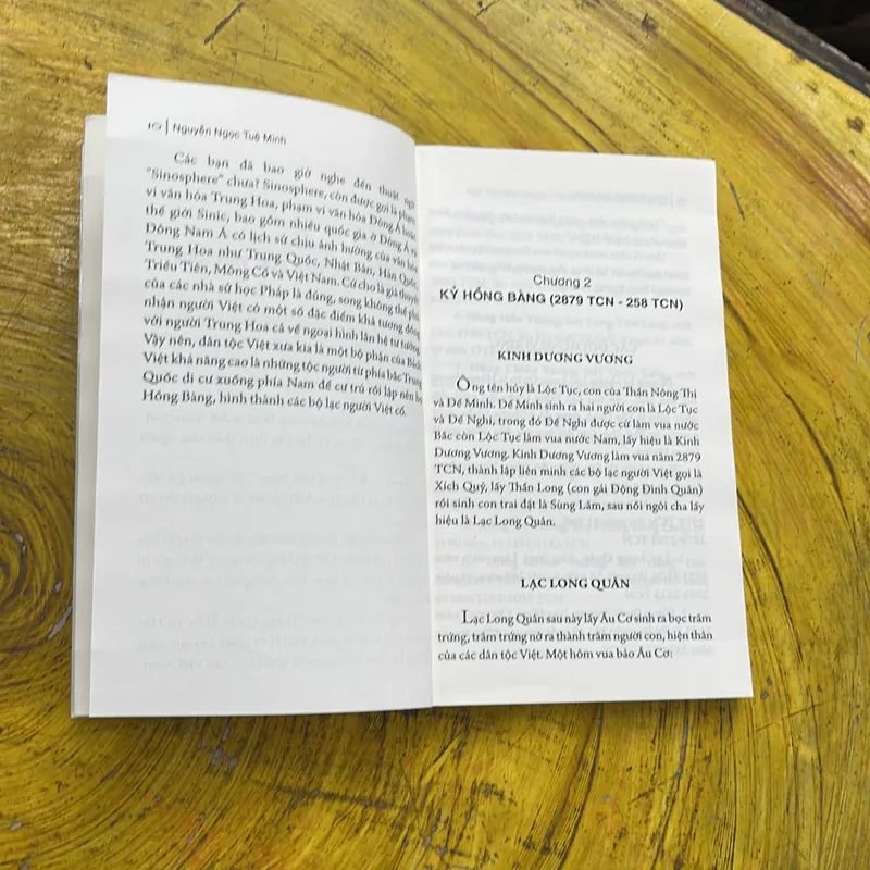 ĐẠI VIỆT LƯỢC TRUYỆN- NGUYỄN NGỌC TUỆ MINH 689641