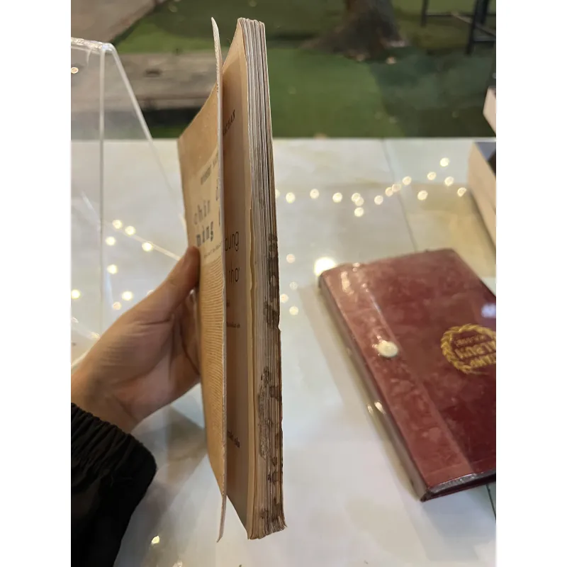 CHÂN DUNG NÀNG THƠ - HOÀNG ƯNG, TRẦN PHONG GIAO ( dịch) 750930