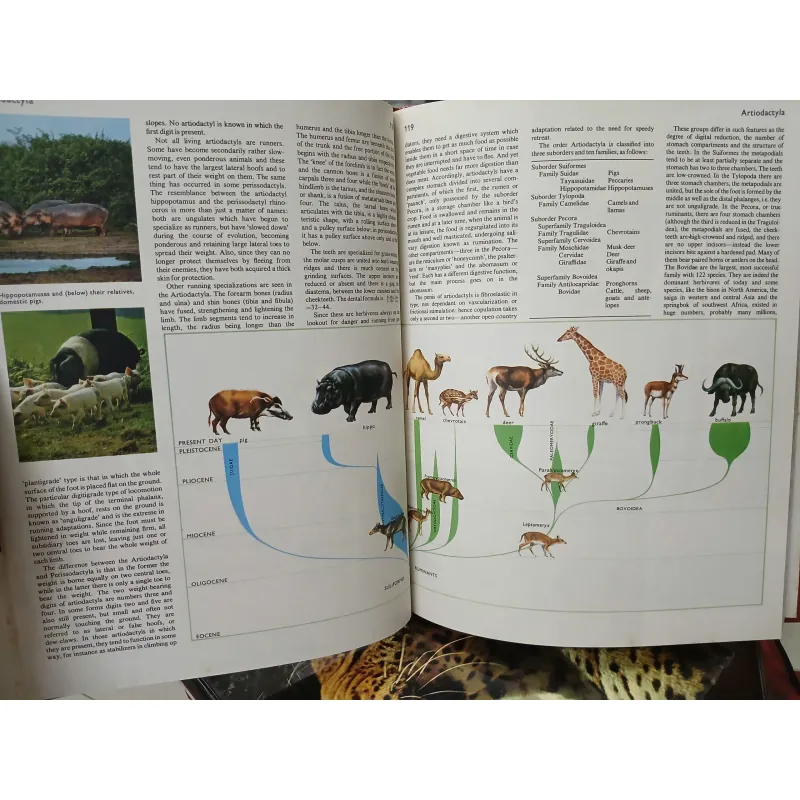 ENCYCLOPEDIA OF THE ANIMAL WORLD - BÁCH KHOA TOÀN THƯ VỀ THẾ GIỚI ĐỘNG VẬT (21 TẬP) 575435