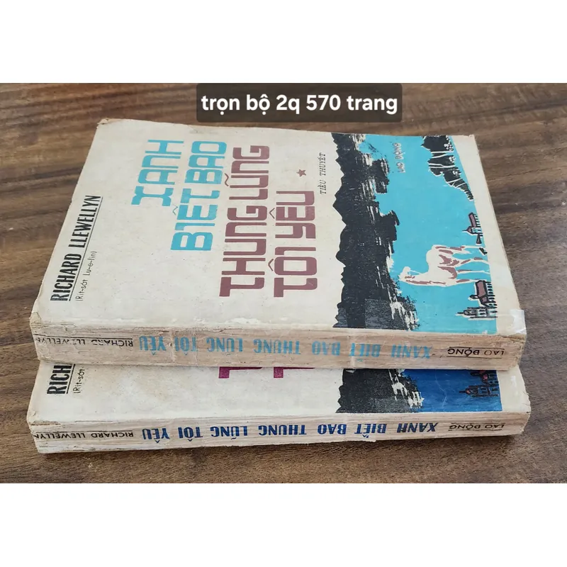 Trọn bộ 2 tập, tiểu thuyết Xanh biết bao thung lũng tôi yêu, tác giả Richard Llewellyn 703640
