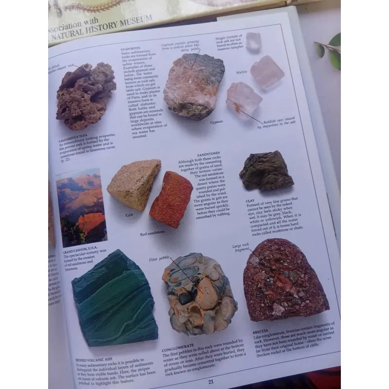 DK Eyewitness Guides 1041677