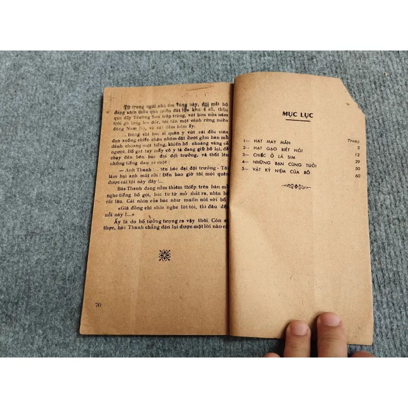 HẠT MAY MẮN - TRIỆU BÔN 689515