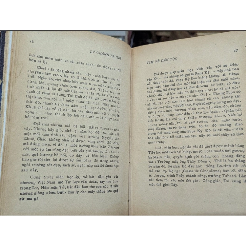 Tìm về dân tộc - Lý Chánh Trung 431061