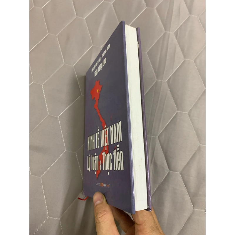 Kinh tế việt nam lý luận và thực tiễn. 999 455205