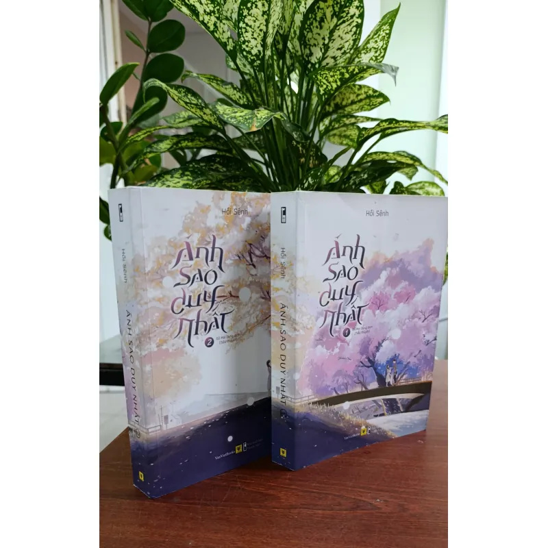 ÁNH SAO DUY NHẤT - ĐỖ MAI DUNG 694029