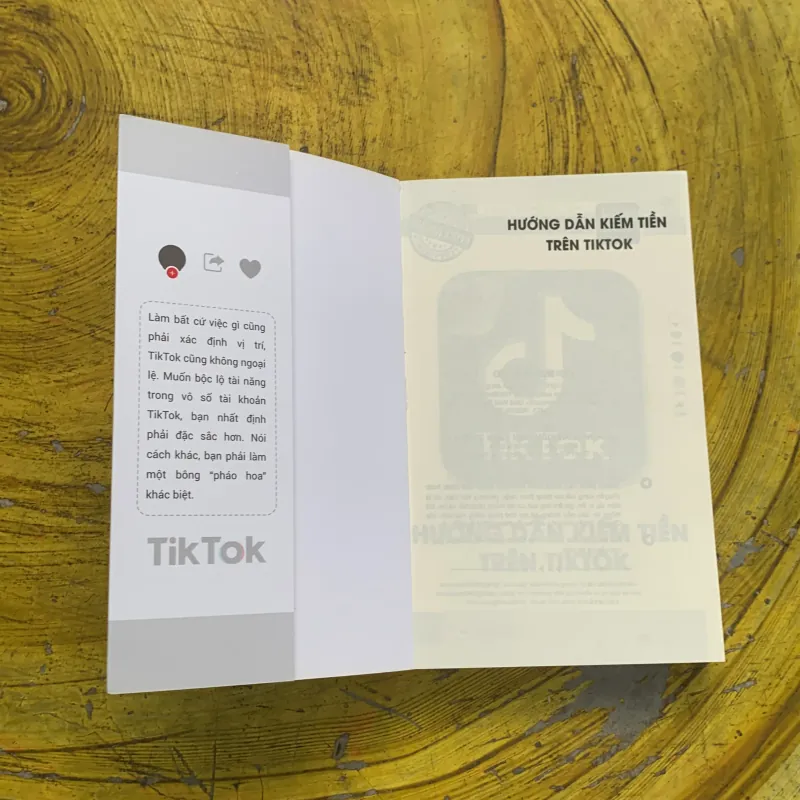 HƯỚNG DẪN KIẾM TIỀN TRÊN TIKTOK 747256